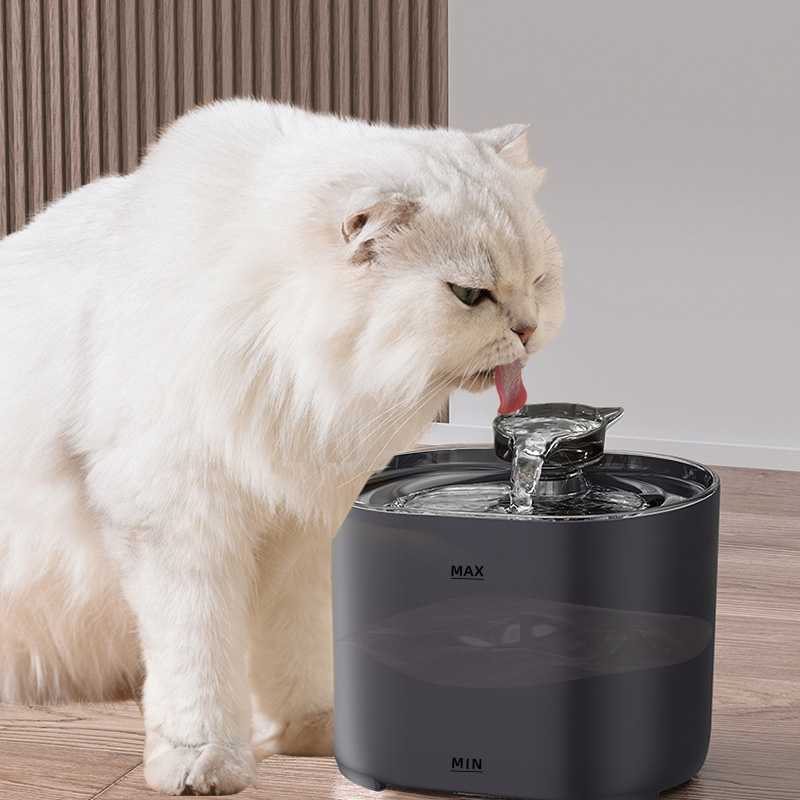 Fuente de agua para gatos